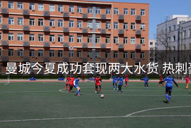曼城今夏成功套现两大水货 热刺豪掷1.5亿英镑接盘