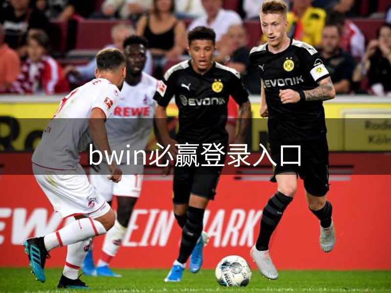 bwin必赢登录入口简介